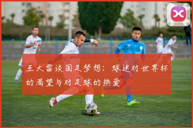 王大雷谈国足梦想：球迷对世界杯的渴望与对足球的热爱