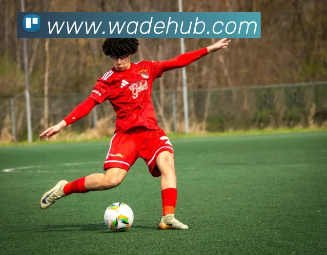 韦德体育全站App